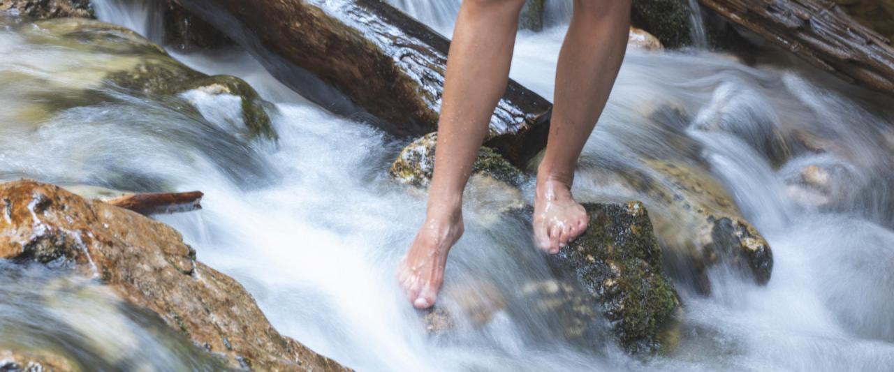 Dolomiti Natural Wellness; Madonna di Campiglio, Pinzolo, Caderzone Terme