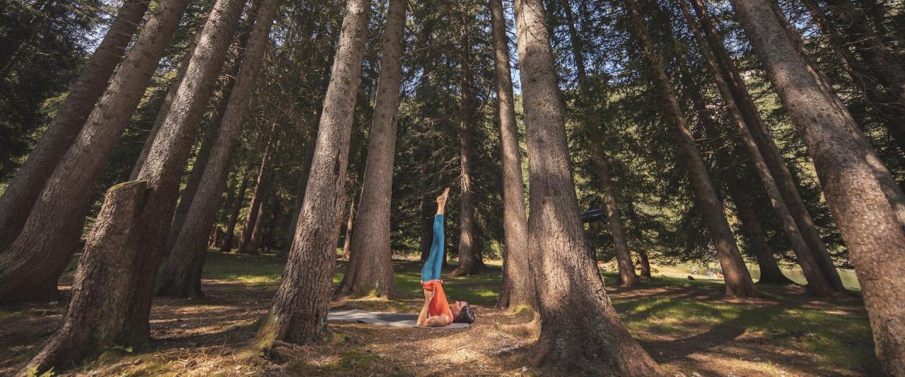 Dolomiti Natural Wellness; Madonna di Campiglio, Pinzolo, Caderzone Terme