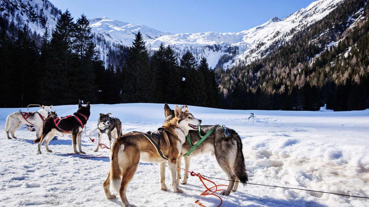 Non solo sci a Madonna di Campiglio Pinzolo Val Rendena