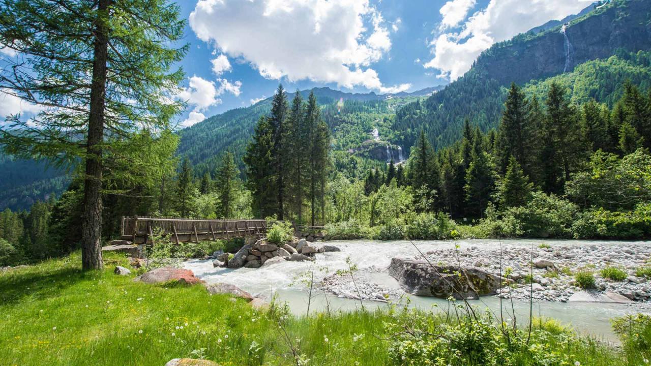 Pescare e cercare funghi in Trentino Val Rendena