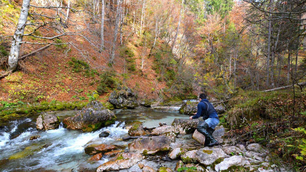 Pescare in Trentino Val Rendena